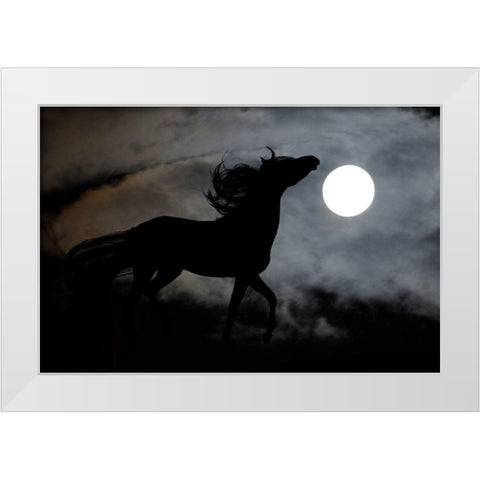 Moonlight Run White Modern Wood Framed Art Print by The Yellowstone Collection