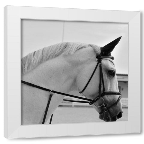 Nobility White Modern Wood Framed Art Print by The Yellowstone Collection