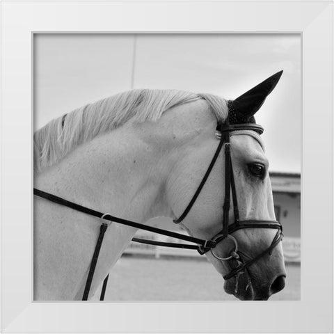 Nobility White Modern Wood Framed Art Print by The Yellowstone Collection