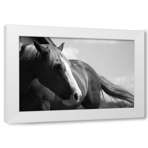 Ready to Ride White Modern Wood Framed Art Print by The Yellowstone Collection