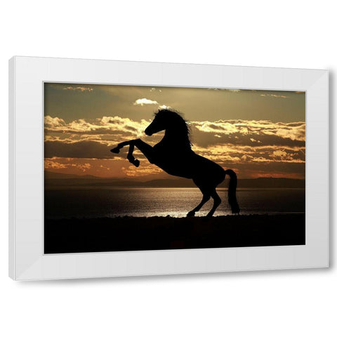 Shadow Dancer White Modern Wood Framed Art Print by The Yellowstone Collection