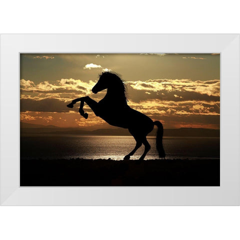 Shadow Dancer White Modern Wood Framed Art Print by The Yellowstone Collection