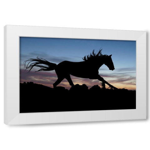 Shadow Gallop White Modern Wood Framed Art Print by The Yellowstone Collection