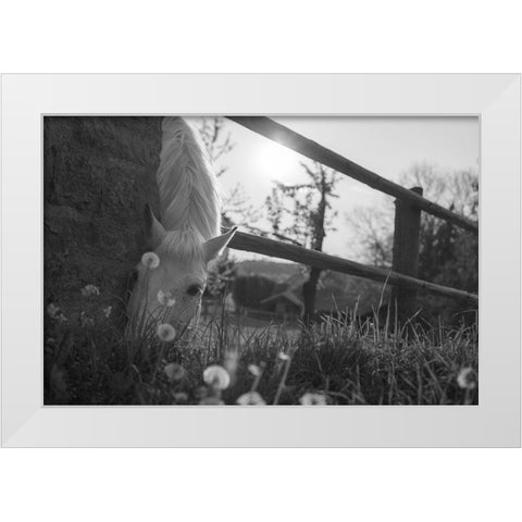 Spring Treat White Modern Wood Framed Art Print by The Yellowstone Collection