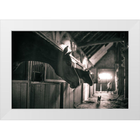 Stable Gossip White Modern Wood Framed Art Print by The Yellowstone Collection