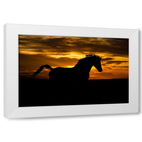 Sunset Shadow White Modern Wood Framed Art Print by The Yellowstone Collection