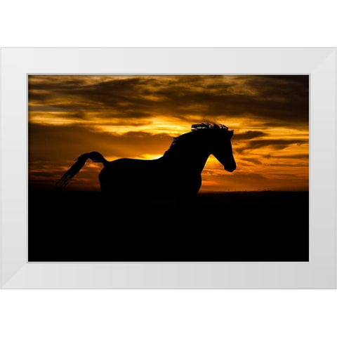 Sunset Shadow White Modern Wood Framed Art Print by The Yellowstone Collection