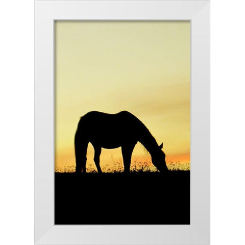 Supper Time White Modern Wood Framed Art Print by The Yellowstone Collection