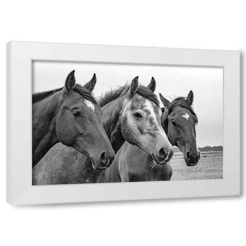 Three of a Kind White Modern Wood Framed Art Print by The Yellowstone Collection
