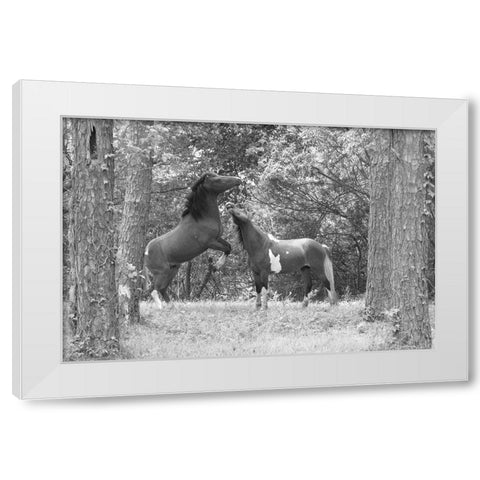 Wild Horses in the Forest White Modern Wood Framed Art Print by The Yellowstone Collection