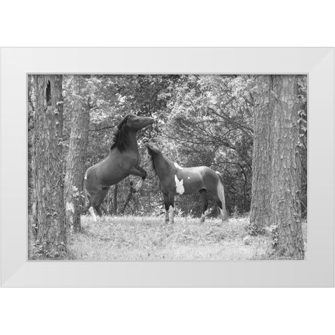 Wild Horses in the Forest White Modern Wood Framed Art Print by The Yellowstone Collection