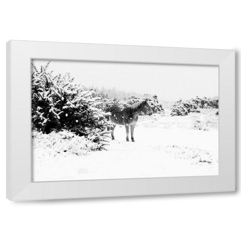 Winter Chestnut White Modern Wood Framed Art Print by The Yellowstone Collection