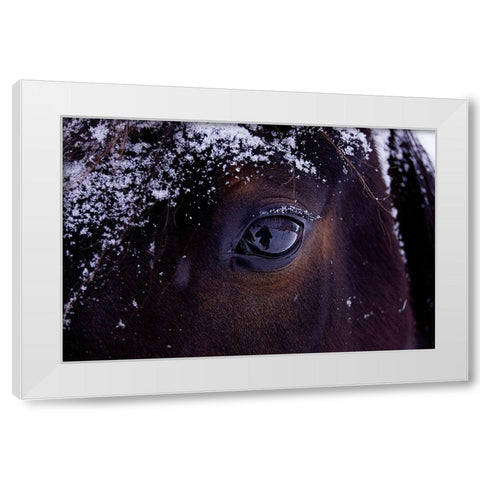 Winter Eye White Modern Wood Framed Art Print by The Yellowstone Collection
