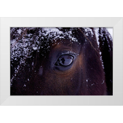 Winter Eye White Modern Wood Framed Art Print by The Yellowstone Collection