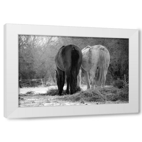Winter Feed White Modern Wood Framed Art Print by The Yellowstone Collection