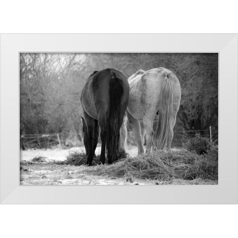 Winter Feed White Modern Wood Framed Art Print by The Yellowstone Collection