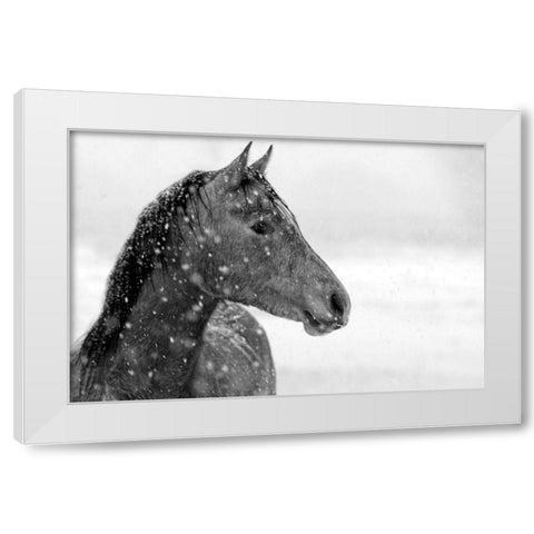 Winter Snow White Modern Wood Framed Art Print by The Yellowstone Collection