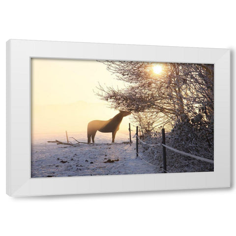 Winter Treat White Modern Wood Framed Art Print by The Yellowstone Collection