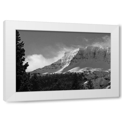 Amphitheater Mountain, Yellowstone National Park White Modern Wood Framed Art Print by Peaco, Jim
