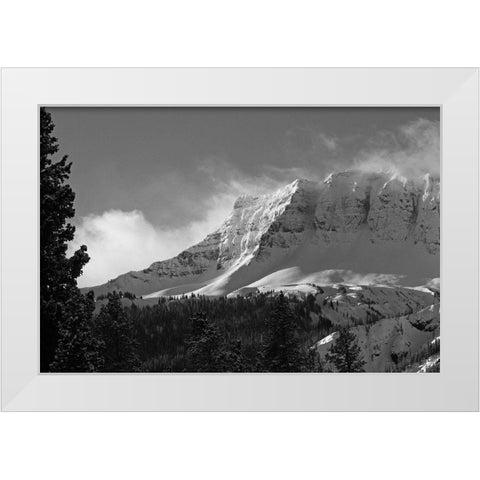 Amphitheater Mountain, Yellowstone National Park White Modern Wood Framed Art Print by Peaco, Jim