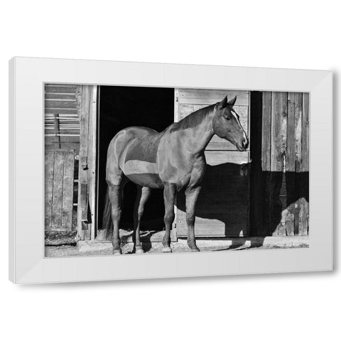 Afternoon Shadow White Modern Wood Framed Art Print by The Yellowstone Collection