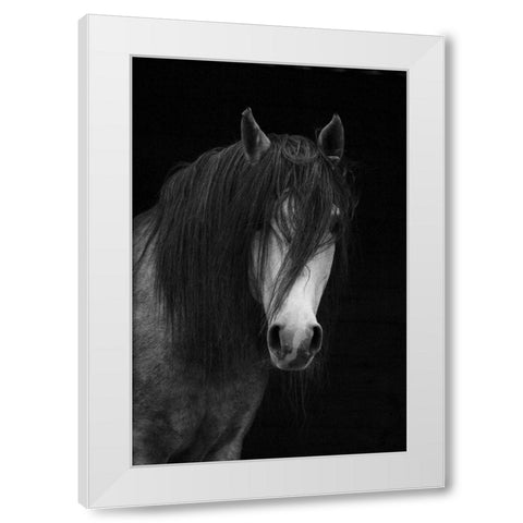 Andalusian White Modern Wood Framed Art Print by The Yellowstone Collection
