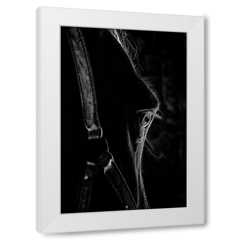 Black as Night White Modern Wood Framed Art Print by The Yellowstone Collection