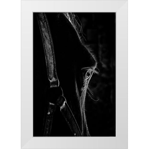 Black as Night White Modern Wood Framed Art Print by The Yellowstone Collection