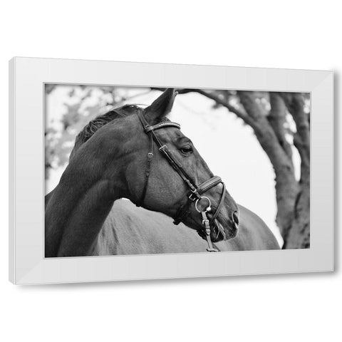 Chestnut horse White Modern Wood Framed Art Print by The Yellowstone Collection