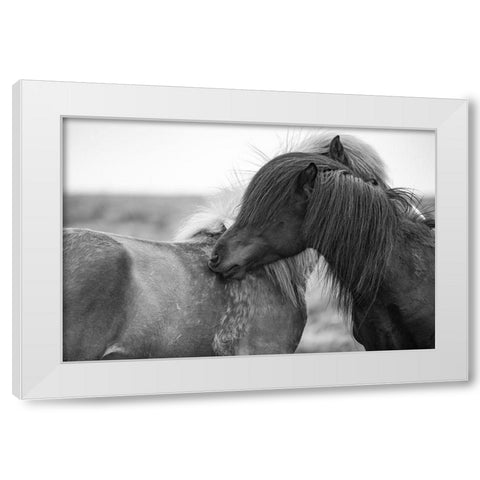 Close Friends White Modern Wood Framed Art Print by The Yellowstone Collection