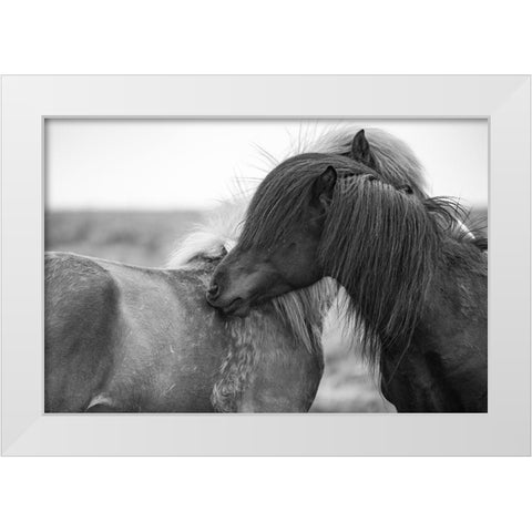 Close Friends White Modern Wood Framed Art Print by The Yellowstone Collection