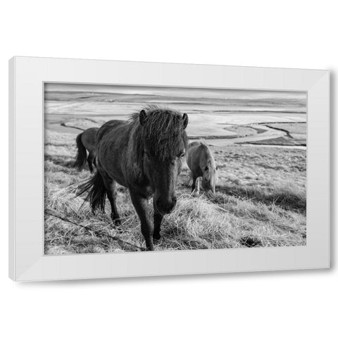 Dry Grass Lunch White Modern Wood Framed Art Print by The Yellowstone Collection