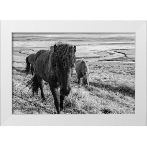 Dry Grass Lunch White Modern Wood Framed Art Print by The Yellowstone Collection