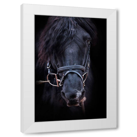 Equus White Modern Wood Framed Art Print by The Yellowstone Collection