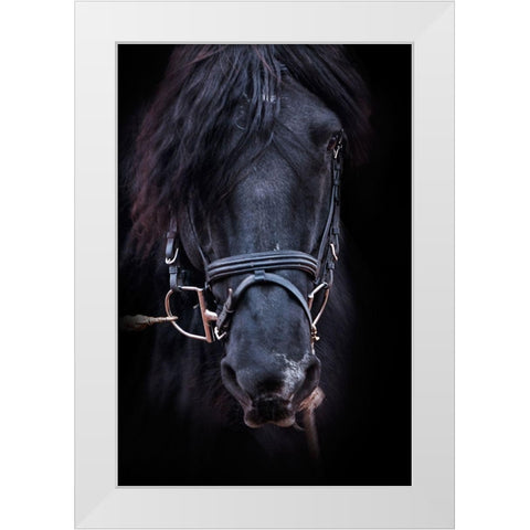 Equus White Modern Wood Framed Art Print by The Yellowstone Collection