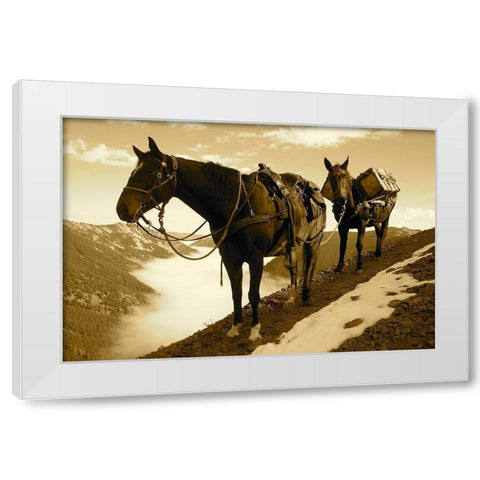 Frank Church-River of No Return Wilderness, Payette National Forest I White Modern Wood Framed Art Print by The Yellowstone Collection