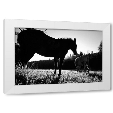 Frank Church-River of No Return Wilderness, Payette National Forest II White Modern Wood Framed Art Print by The Yellowstone Collection
