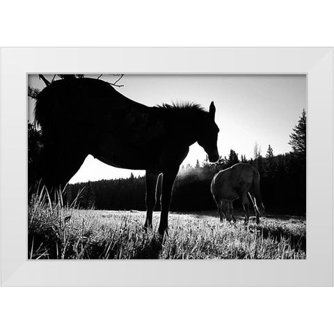 Frank Church-River of No Return Wilderness, Payette National Forest II White Modern Wood Framed Art Print by The Yellowstone Collection