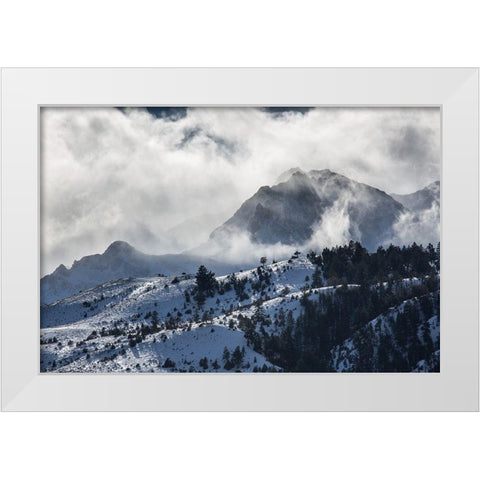 Blowing Snow, Electric Peak, Yellowstone National Park White Modern Wood Framed Art Print by The Yellowstone Collection