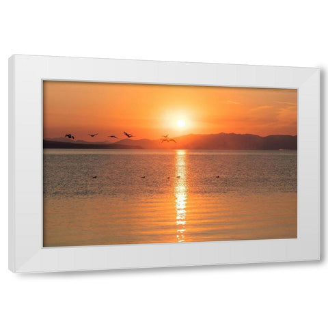 Canada Geese on Yellowstone Lake, Yellowstone National Park White Modern Wood Framed Art Print by The Yellowstone Collection