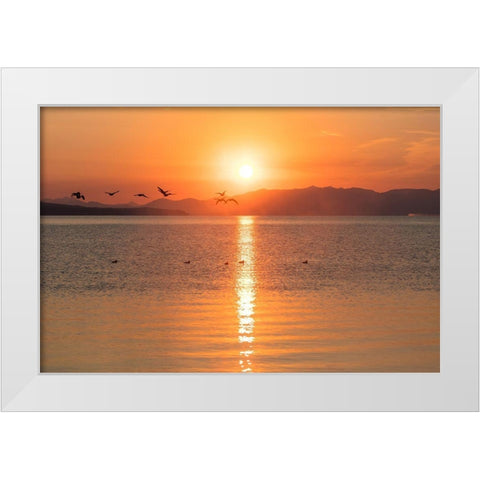Canada Geese on Yellowstone Lake, Yellowstone National Park White Modern Wood Framed Art Print by The Yellowstone Collection