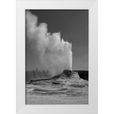 Castle Geyser, Yellowstone National Park White Modern Wood Framed Art Print by Renkin, Diane