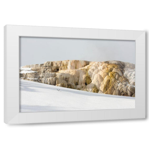 Cleopatra Spring, Mammoth Hot Springs, Yellowstone National Park White Modern Wood Framed Art Print by The Yellowstone Collection