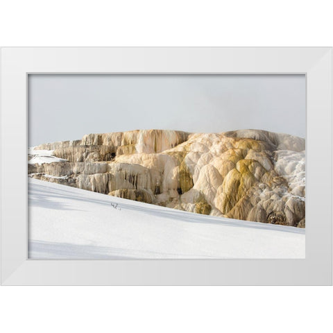 Cleopatra Spring, Mammoth Hot Springs, Yellowstone National Park White Modern Wood Framed Art Print by The Yellowstone Collection