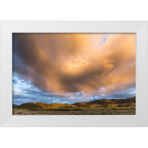 Cleopatra Spring, Mammoth Hot Springs, Yellowstone National Park White Modern Wood Framed Art Print by The Yellowstone Collection