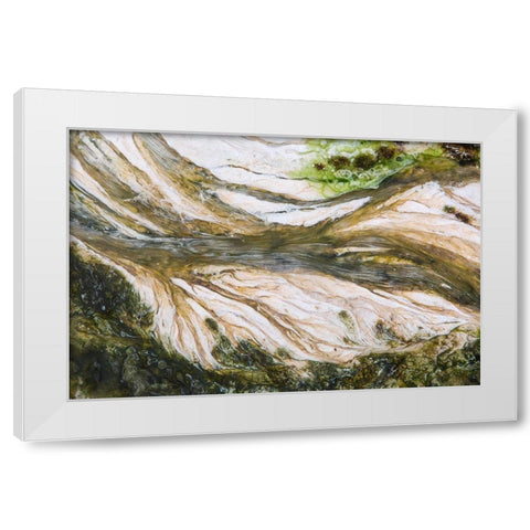 Colorful Bacteria at Mammoth Hot Springs, Yellowstone National Park White Modern Wood Framed Art Print by The Yellowstone Collection