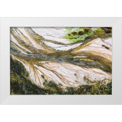 Colorful Bacteria at Mammoth Hot Springs, Yellowstone National Park White Modern Wood Framed Art Print by The Yellowstone Collection