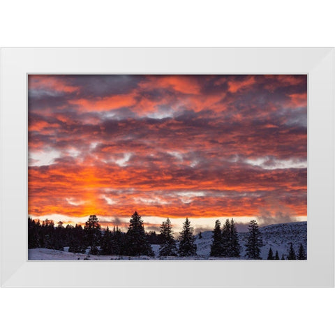 Winter Sunset in Lamar Valley, Yellowstone National Park White Modern Wood Framed Art Print by The Yellowstone Collection