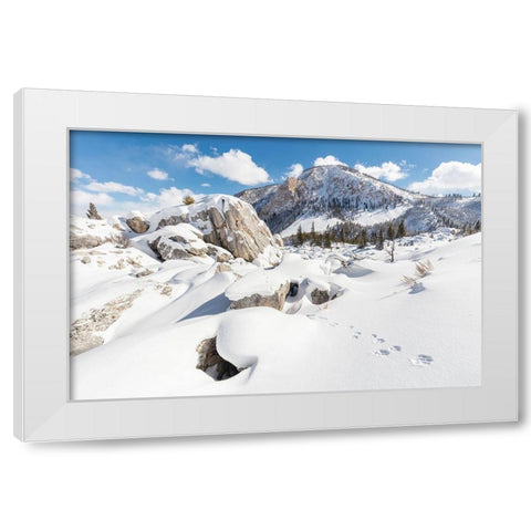 Coyote tracks in the Hoodoos, Yellowstone National Park White Modern Wood Framed Art Print by The Yellowstone Collection