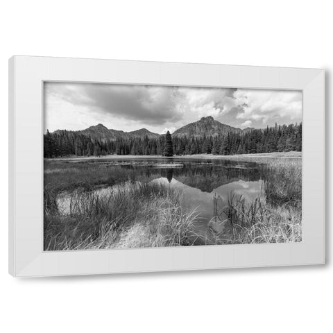 Custer-Gallatin National Forest, Knox Lake Trail, Yellowstone National Park White Modern Wood Framed Art Print by The Yellowstone Collection